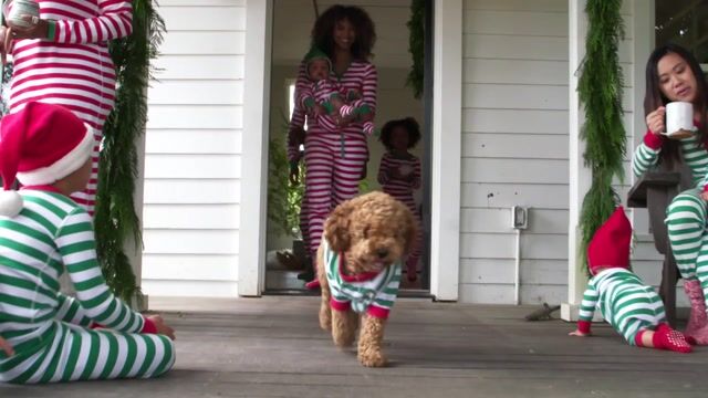 Hanna Andersson holiday campaign — play video